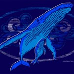 Whales-Design-1
